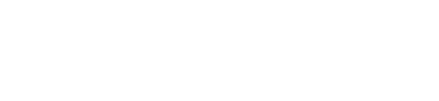 Fintur